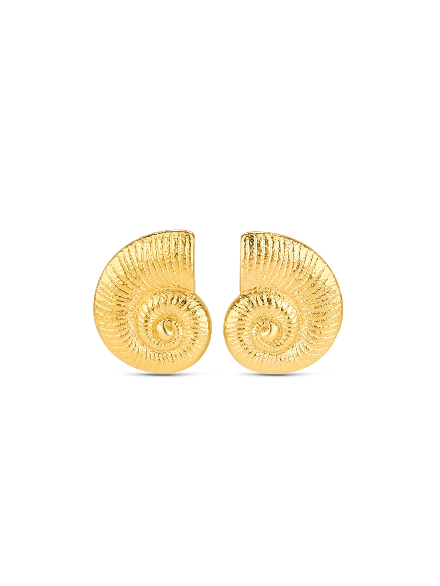 Aros Coral