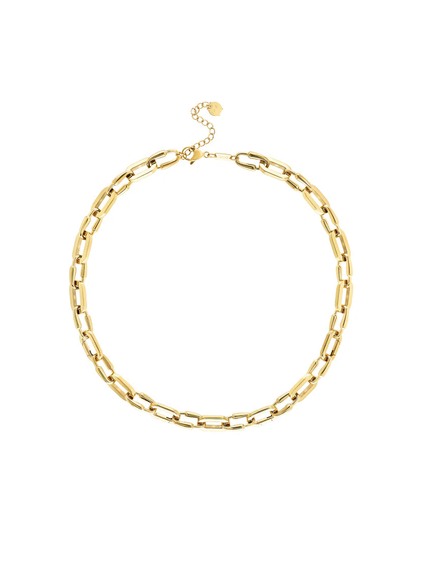 Box Collar Para toda la Vida