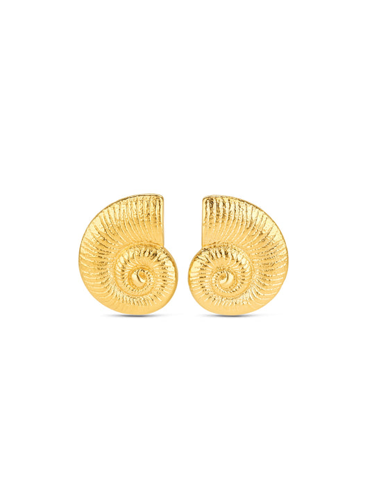 Aros Coral