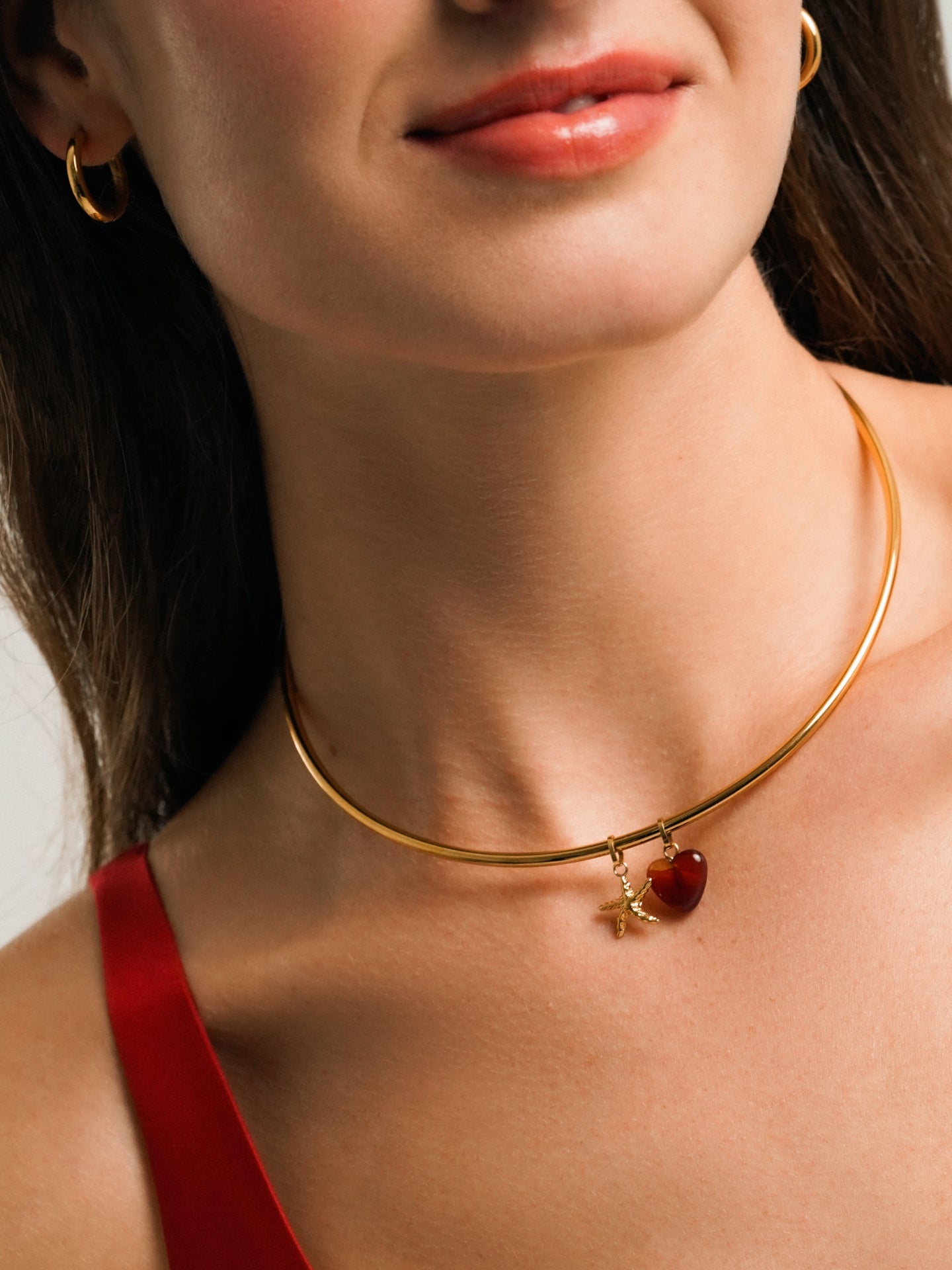 Collar Energy Master Rigid Gold