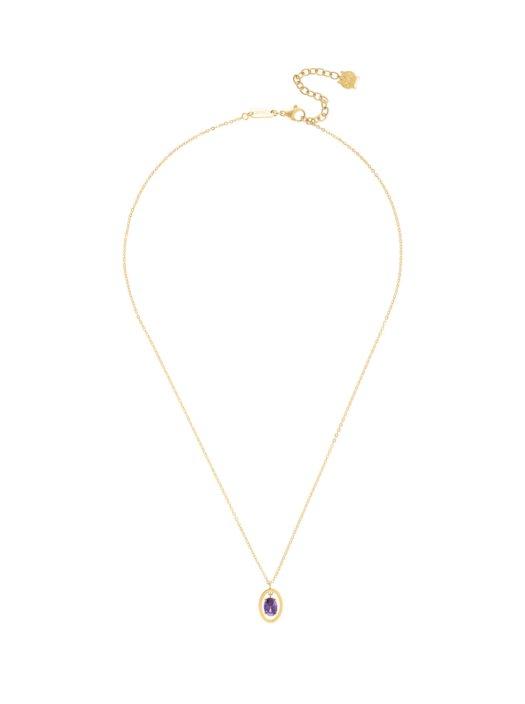 Collar Birthstone Febrero - Sabiduría