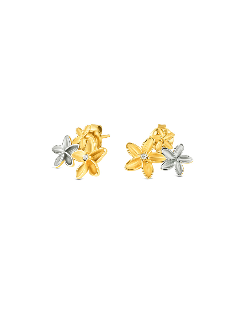 Aros Fleur Bicolor