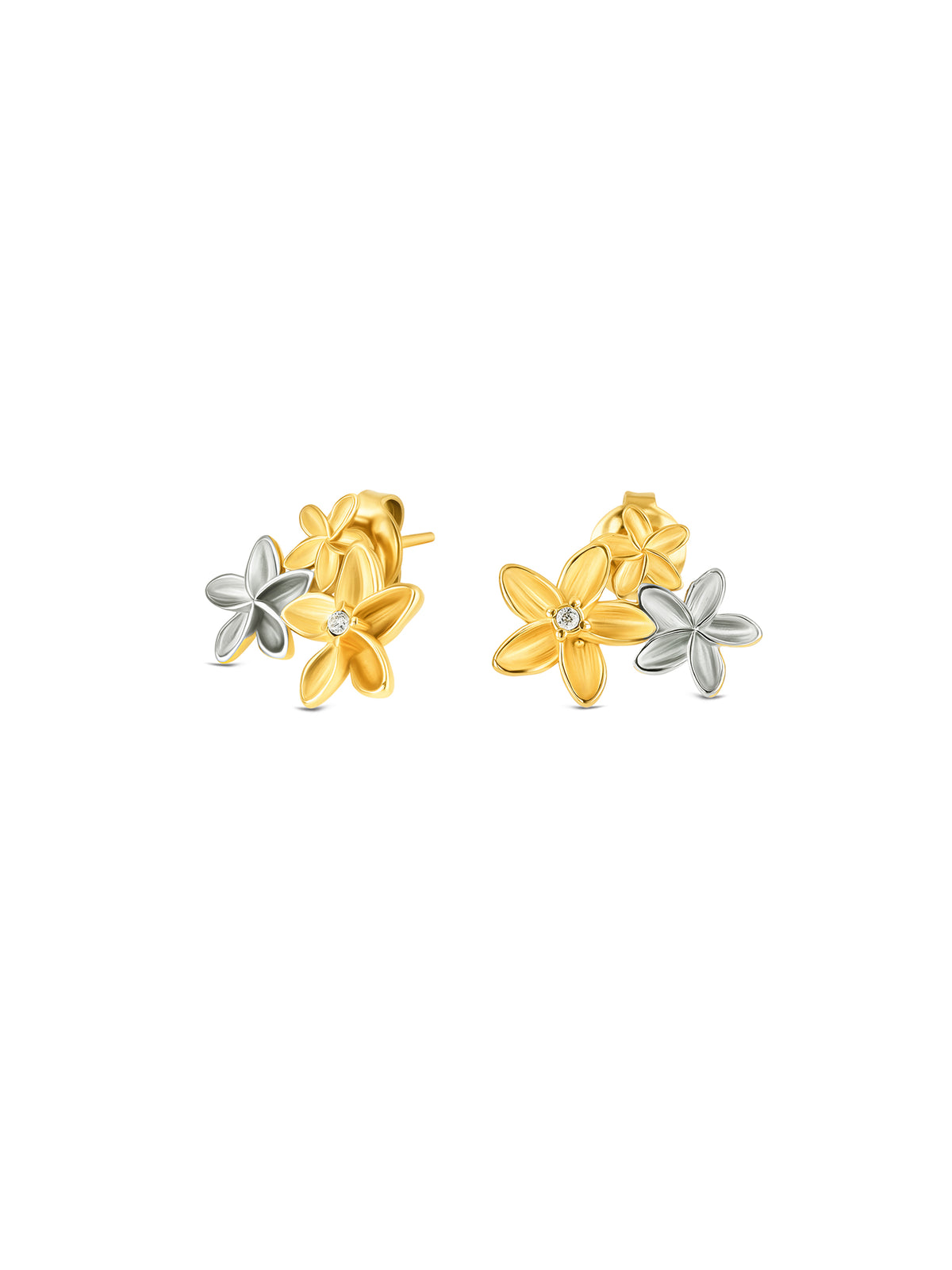 Aros Fleur Bicolor
