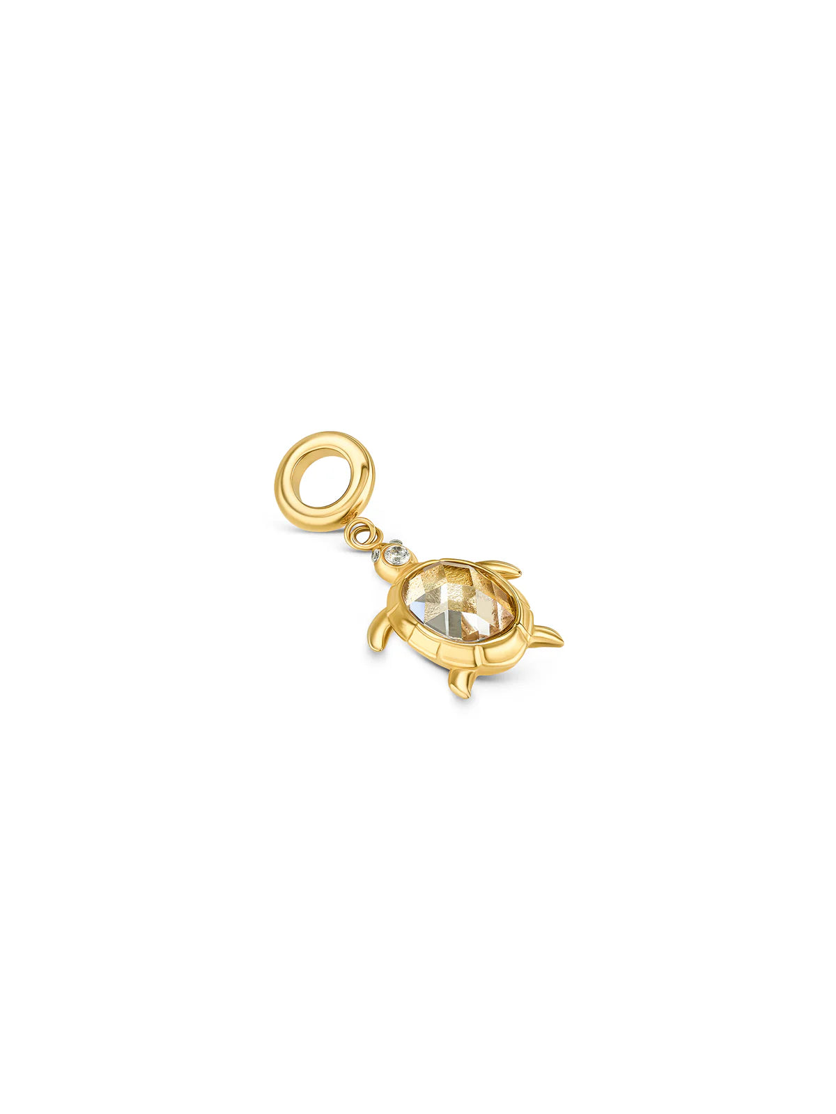 Charm Energy Sea Turtle Gold