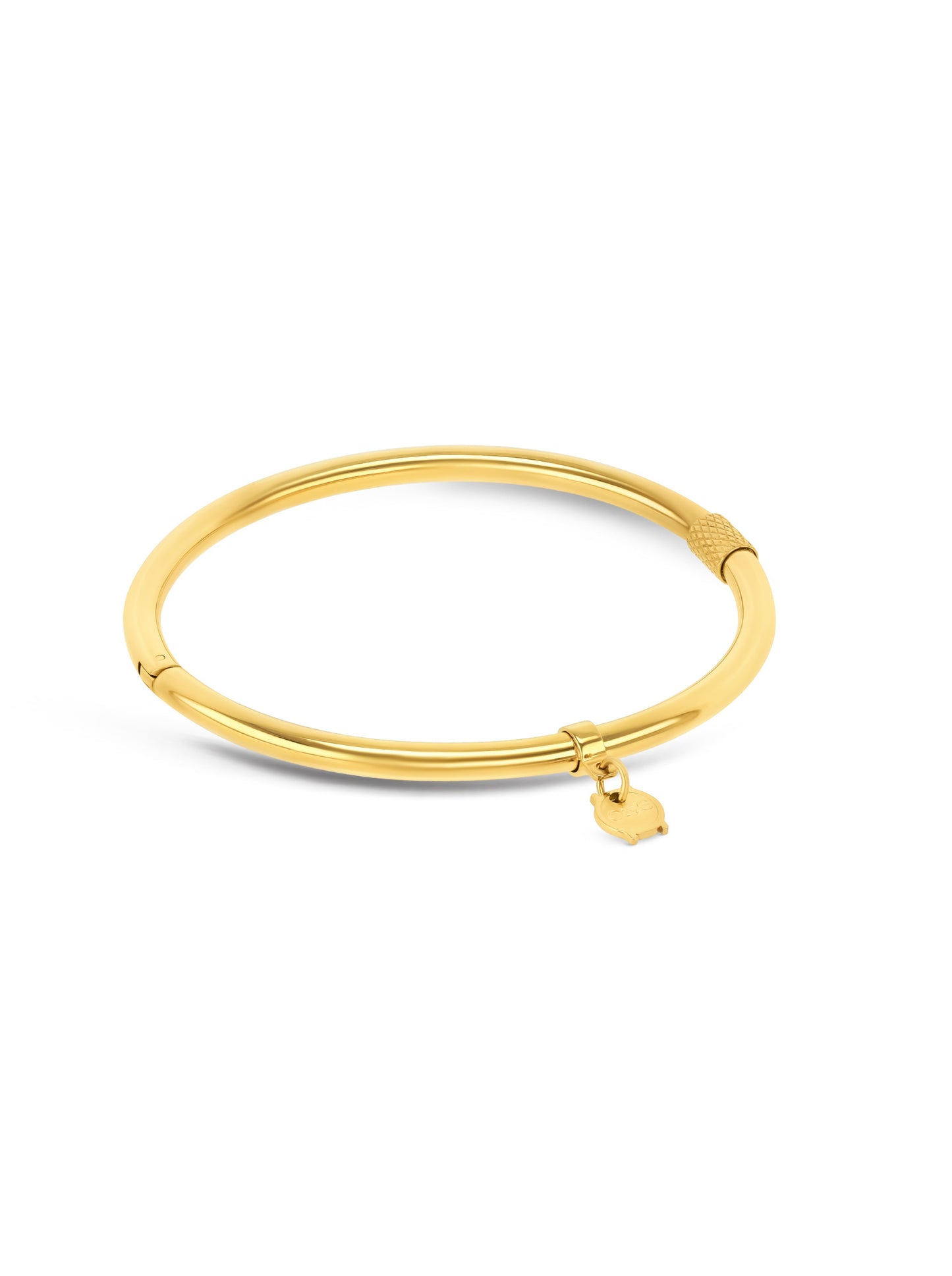 Pulsera Esclava Energy Master Oval Gold