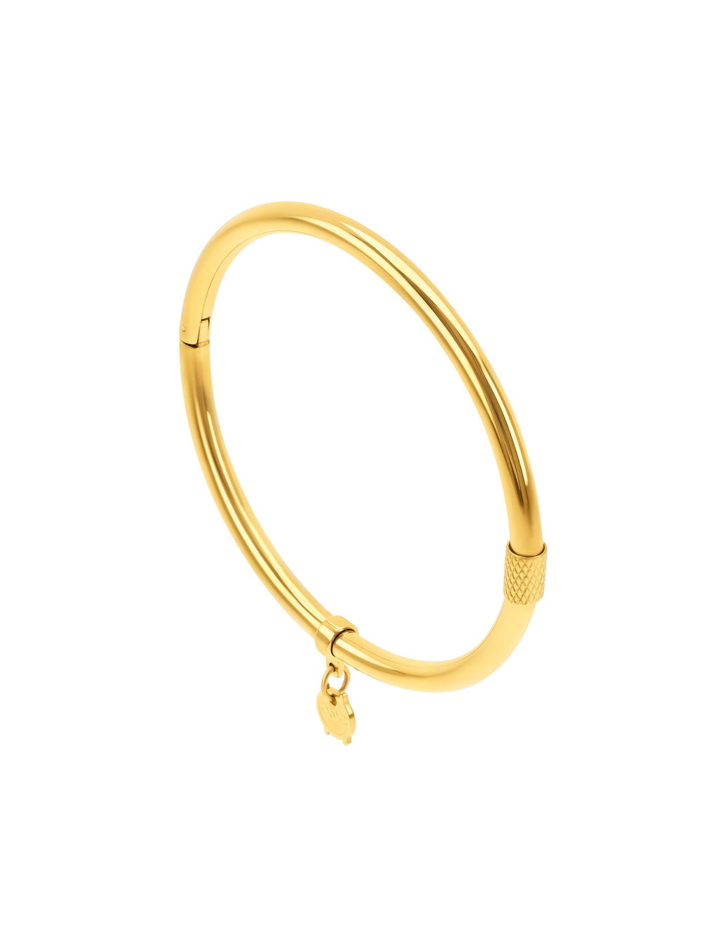 Pulsera Esclava Energy Master Oval Gold