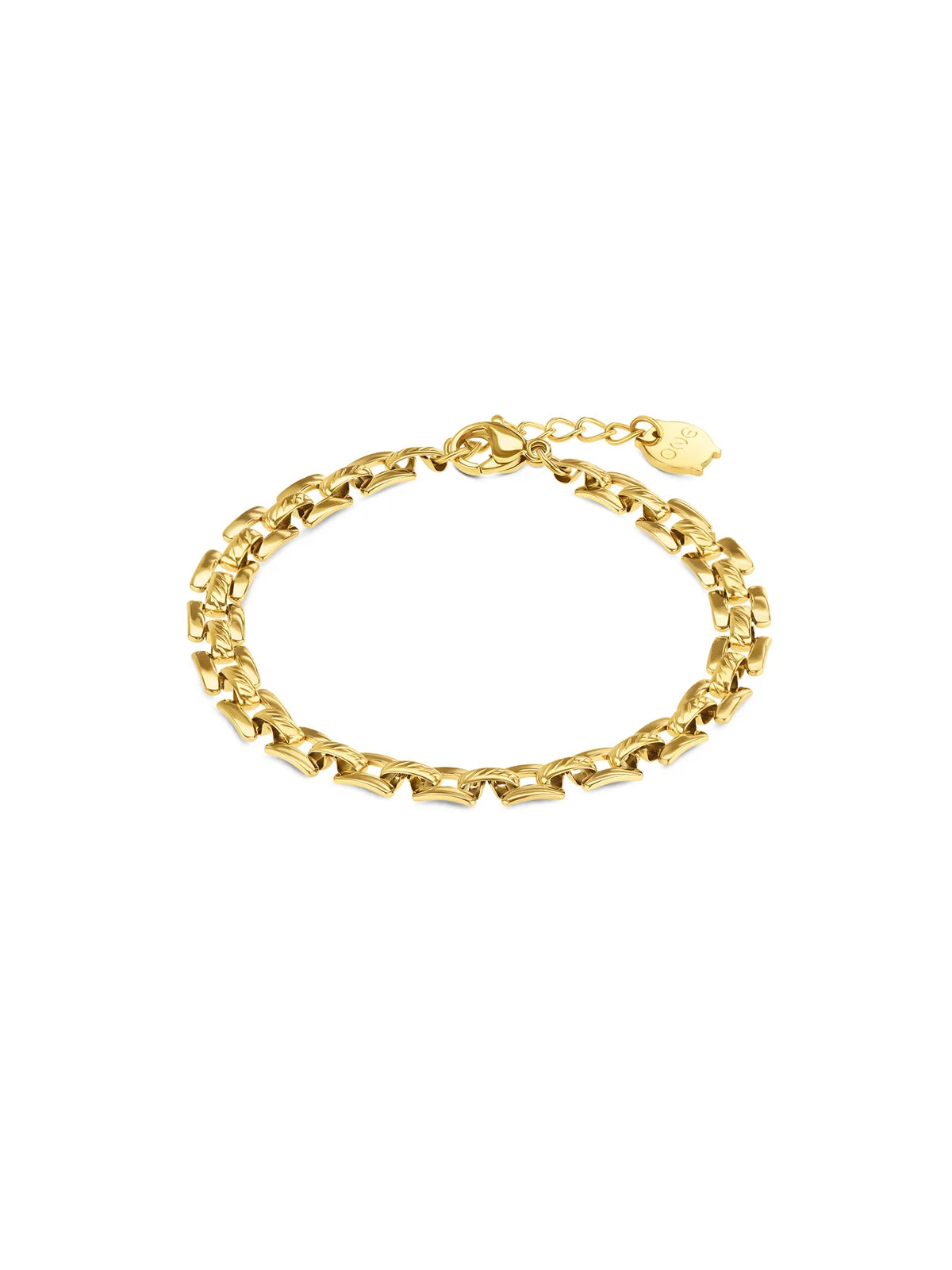Pulsera Charming Link