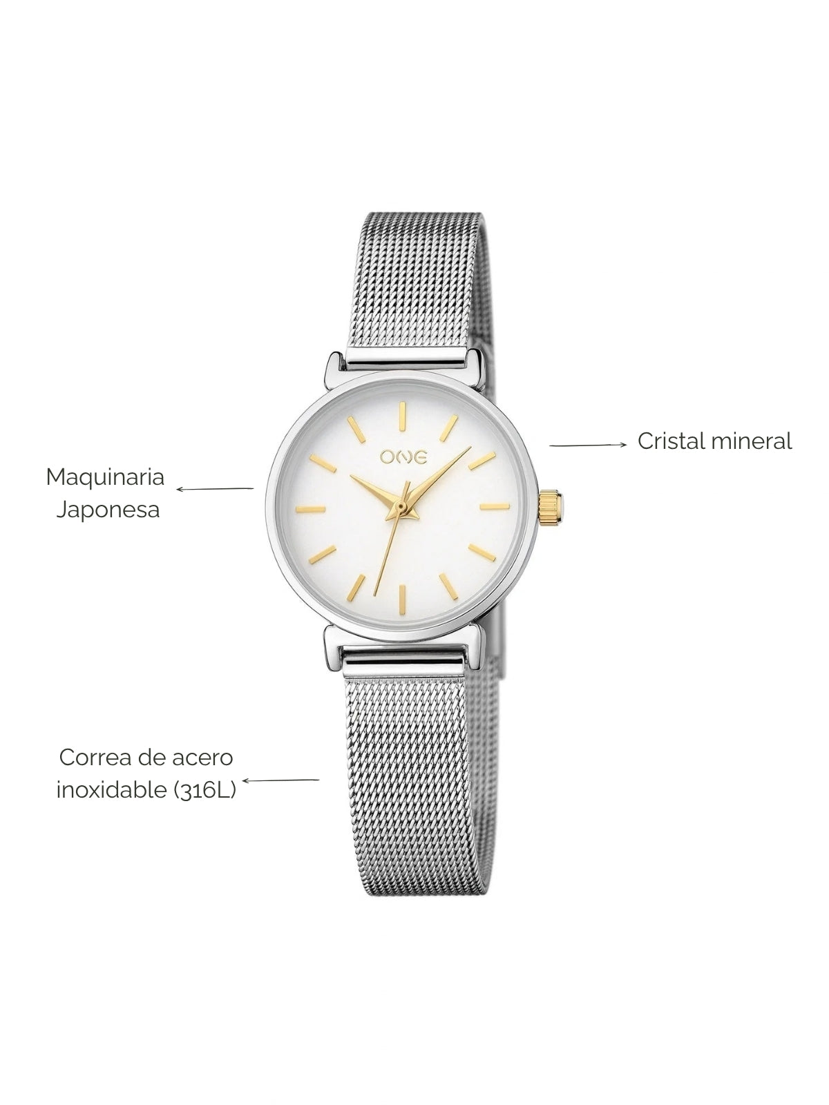 Reloj Daily Round Bicolor