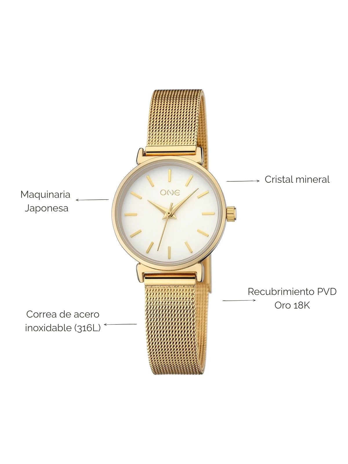 Reloj Daily Round Gold