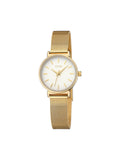 Reloj Daily Round Gold
