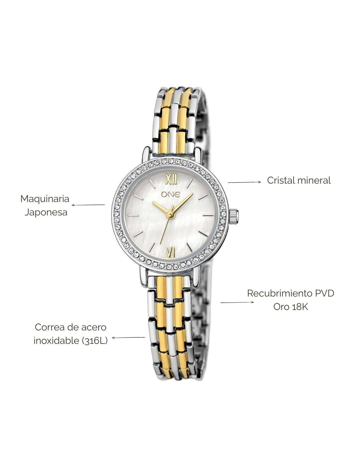 Reloj Obsession Bicolor